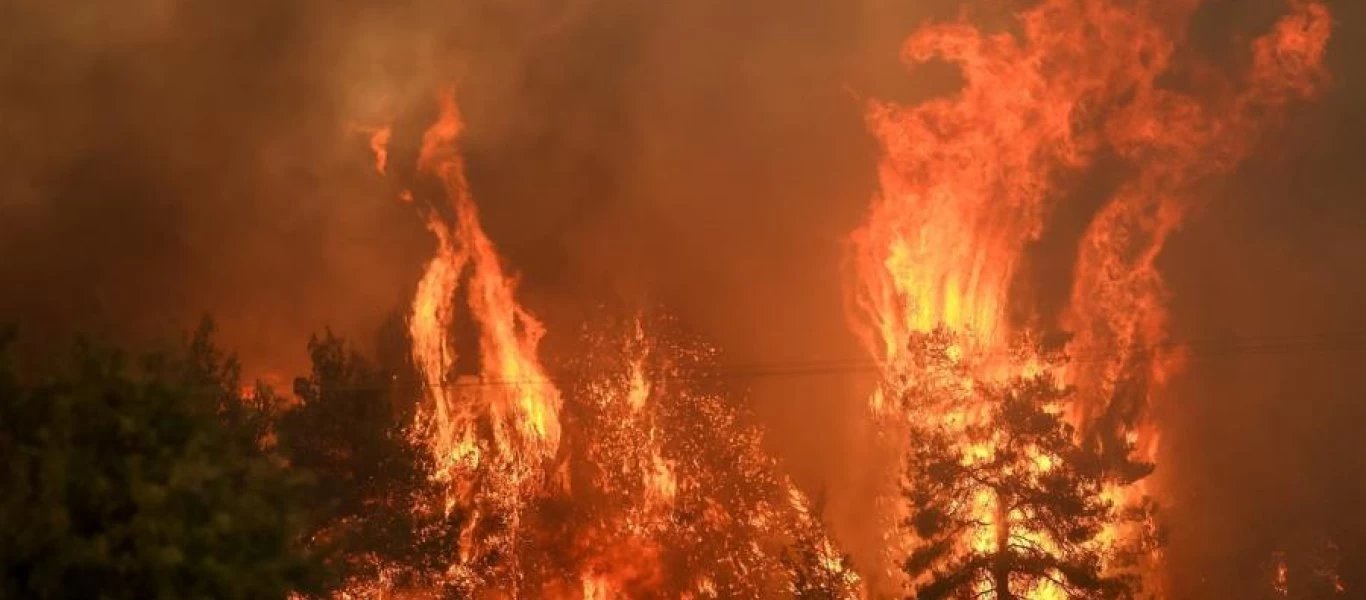 Καλαμάτα: Χειροπέδες σε 71χρονο που κατηγορείται για εμπρησμό